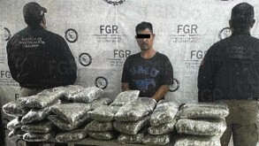 Un hombre fue sentenciado a nueve años y cinco meses de prisión tras ser encontrado responsable de transportar más de 32 kilos de marihuana.
