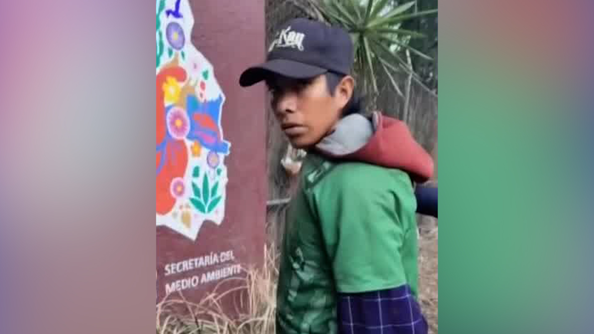 Rescatistas detienen a hombre con cuchillo en bosque de Nativitas. 25 perros asesinados desde 2023 sin culpable. Autoridades exigen cámaras y vigilancia.