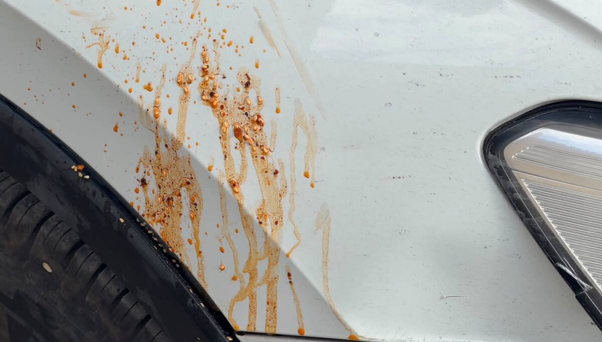 Accidente vial en el Centro de Saltillo terminó con daños materiales y una responsabilidad determinada por autoridades.