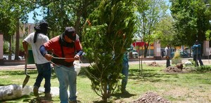 Bosque Venustiano Carranza en Torreón