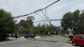 La lluvias del pasado viernes dejaron un sin fin de incidentes, en la colonia Roma se reporta un árbol caído que dejo sin electricidad a los vecinos.