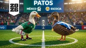 Pato Merlín y el Pato Dawn son conocidos por apoyar a sus selecciones.