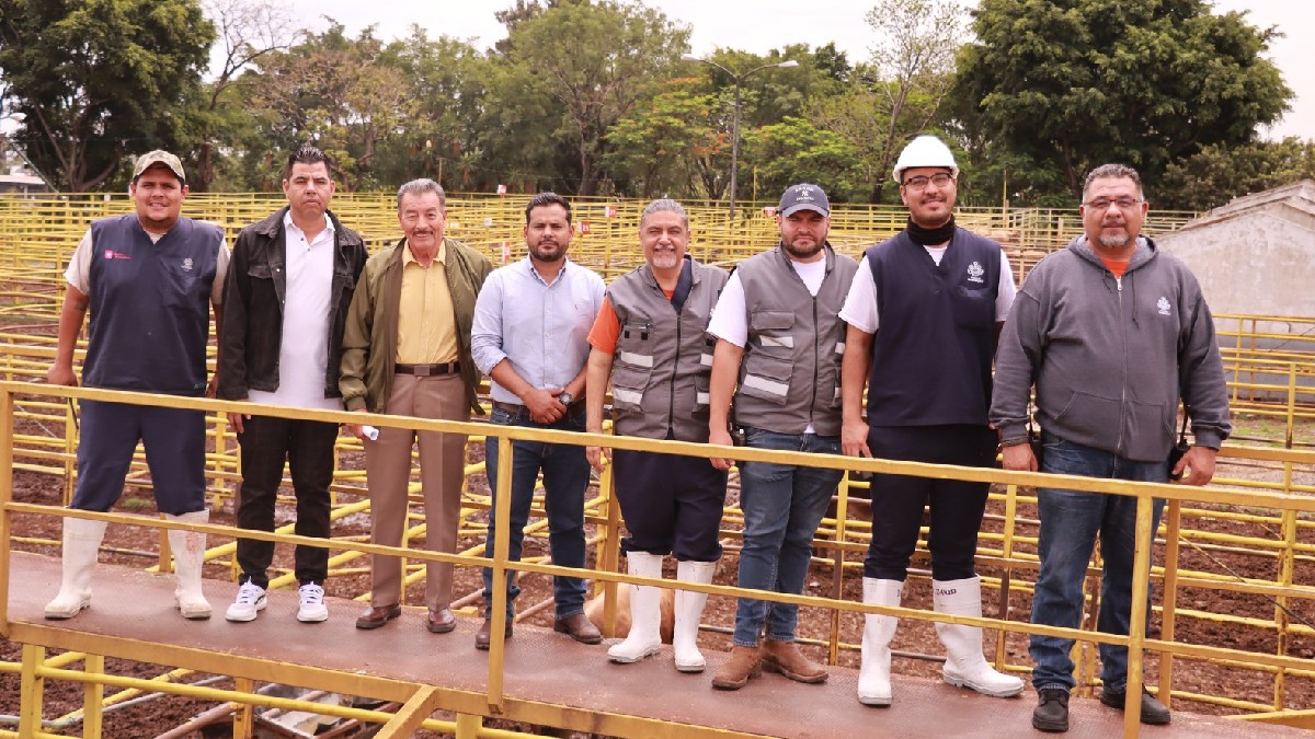 Rastro de Guadalajara obtiene histórica certificación en bienestar animal