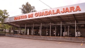 Rastro de Guadalajara obtiene histórica certificación en bienestar animal.