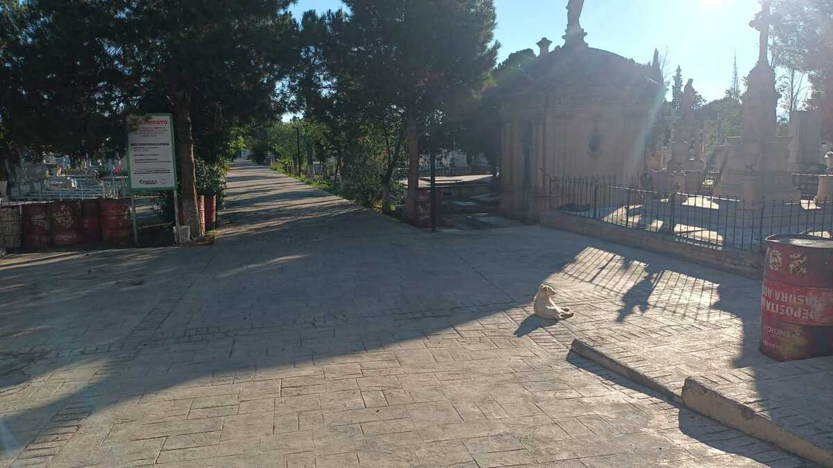 El Panteón Santiago de Saltillo reabrió tras el retiro del enjambre que atacó a visitantes y dejó cuatro personas lesionadas.