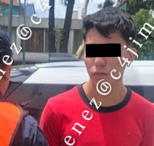 Detienen a empleado de estética canina en la colonia Roma por muerte de un perro pomerania.