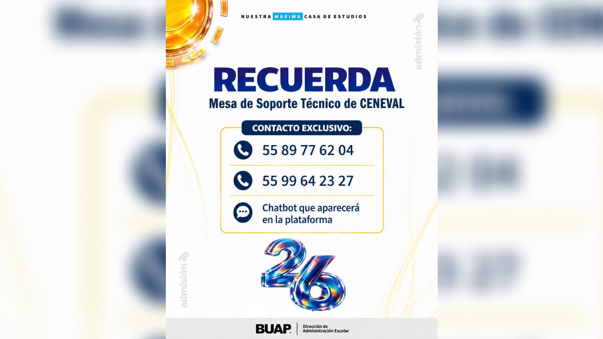 Infografía de datos para soporte técnico