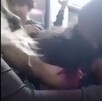 Niño es mordido en el trasporte público de Querétaro es supuestamente agredido por una mujer que viajaba a bordo de la unidad.