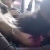 Niño es mordido en el trasporte público de Querétaro es supuestamente agredido por una mujer que viajaba a bordo de la unidad.