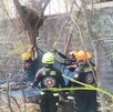 Autoridades capturaron y reubicaron a un oso negro que fue visto cerca de una primaria en la colonia El Molino, en Santa Catarina.