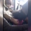 Niño es mordido en el trasporte público de Querétaro es supuestamente agredido por una mujer que viajaba a bordo de la unidad.