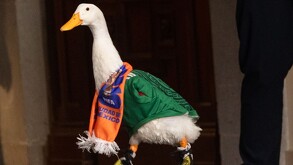 El Pato Merlín y su familia estuvieron en La Mañanera tras ser invitados por la presidenta Claudia Sheinbaum. / Cuartoscuro