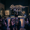 El Museo del Desierto tendrá DJs, recorridos nocturnos y gastronomía en una experiencia inmersiva este verano.
