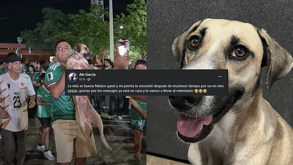 Una joven encontró a su perrita 