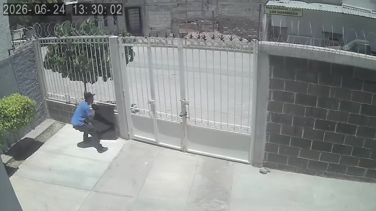 Un delincuente fue grabado por cámaras de seguridad mientras extraía diversos artículos, incluyendo una pantalla de televisión en una vivienda.