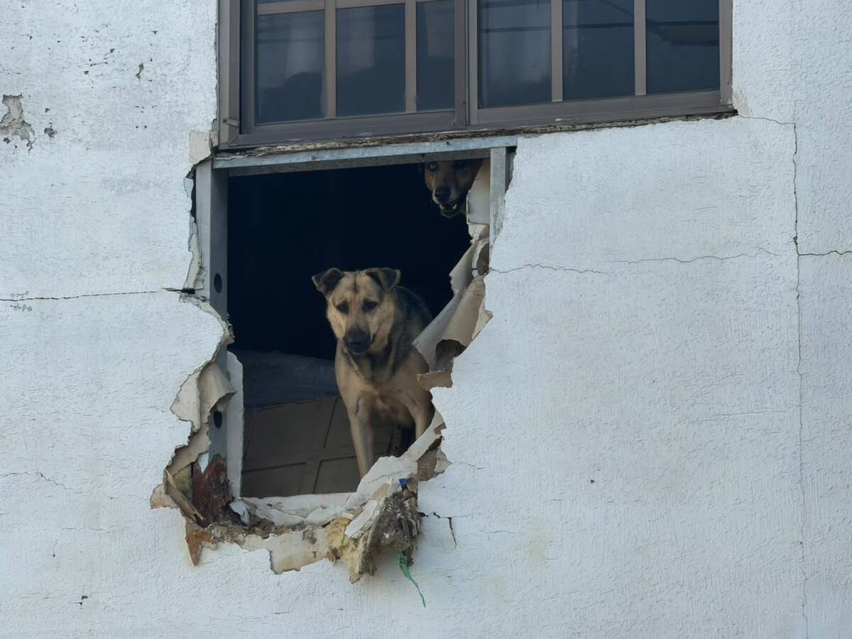 Pedro “N”, de 70 años, fue rescatado en Saltillo tras años de reportes vecinales por las condiciones en las que vivía.