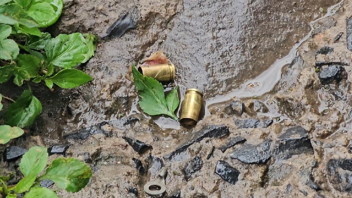 Dos casquillos de arma de fuego sobre un charco en un camino empedrado con hojas de una planta alrededor