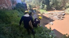 Personal de Protección Civil rescatando un cuerpo de un río.