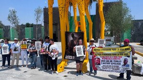 Activistas realizaron un homenaje a la osa Mina y exigieron agilizar las sanciones contra los presuntos responsables del maltrato que sufrió.