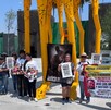 Activistas realizaron un homenaje a la osa Mina y exigieron agilizar las sanciones contra los presuntos responsables del maltrato que sufrió.