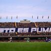 Afición de Pumas durante el Apertura 2026