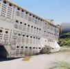 Un tren impactó un tráiler que transportaba ganado en Anáhuac, dejando seis reses muertas y 14 más dispersas en la zona.
