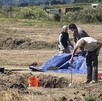 El hallazgo de los restos de al menos 117 perros enterrados, muchos de ellos con aparentes heridas provocadas por arma de fuego se mantiene bajo investigación.