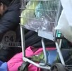 Matan a dos personas en Tepito