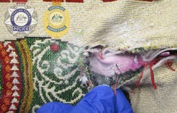 Esta fotografía del 25 de junio de 2026, difundida por la Policía Federal Australiana, muestra una bolsa de tela que contiene parte del cargamento de heroína.