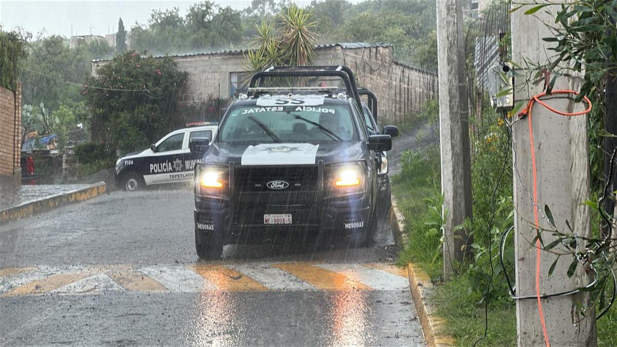 Policía en operativo de búsqueda del tigre de bengala blanco en Edomex