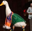 El Pato Merlín se reunió con Poncho de Nigris en Monterrey y volvió a generar dudas sobre su venta.