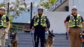 Rescatistas de PC Santa Catarina viajan a Venezuela tras sismo