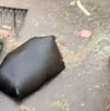 pantallas dañadas por inundaciones en negocios del centro de puebla