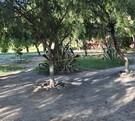 Se observa un parque, con una cintilla de precaución y unos matorrales.