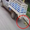 un perro duerme en la calle y una camioneta repatidora de agua cerca