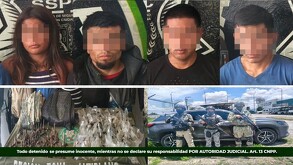 Con 230 bolsas de marihuana, artefactos 