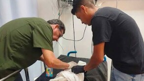 Se observa a dos hombres, los dos están mirando a un bebé acostado y tapado con una cobija.
