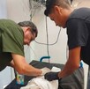 Se observa a dos hombres, los dos están mirando a un bebé acostado y tapado con una cobija.