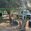 Autoridades atendiendo el reporte de un hombre sin vida en un campo deportivo en el ejido La Perla.
