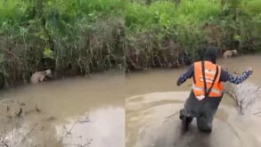 Rescatan a perro de un canal en Tlajomulco de Zúñiga