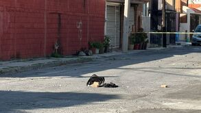 Operativo en Guadalupe