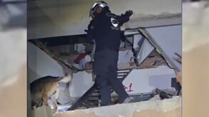 Binomios K9 de Protección Civil Santa Catarina localizaron a un hombre atrapado entre los escombros de un edificio colapsado en Venezuela.