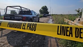 Fotografía de las patrullas de la policía del municipio de Zapopan