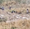 Suman 51 bolsas con restos humanos localizadas en fosa clandestina en Tlajomulco de Zúñiga