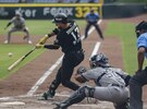 un bateador, un catcher y un umpire en un juego de beisbol del equipo pericos de puebla