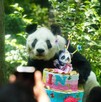 Xin Xin posa con un pastel de cumpleaños