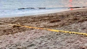 Costa de una playa de Nayarit con vista del mar, la arena y una cinta policiaca color amarillo acordonando el área tras el hallazgo de un cuerpo
