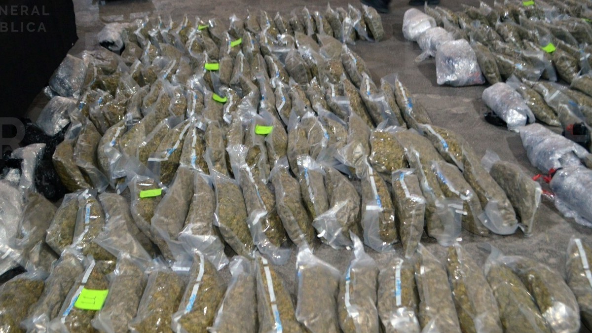 BOLSAS DE PLÁTICO CARGADAS DE MARIHUANA