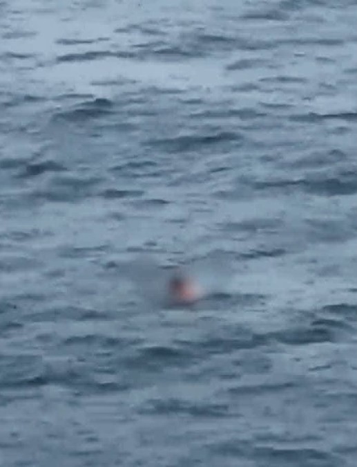 Vista de la parte parcial de un cuerpo censurado con blur flotando en medio del mar en una playa de Nayarit