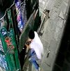 Hombre robando en un puesto de periódico en Puebla.